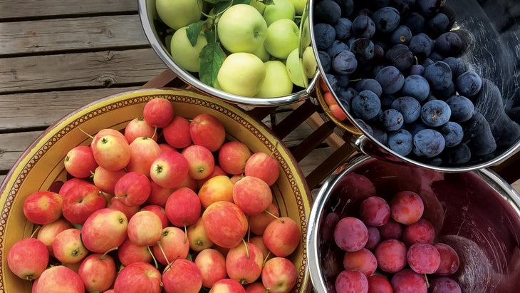 Bounty from the Central Rocky Mountain Permaculture Institute, near Basalt, Colorado