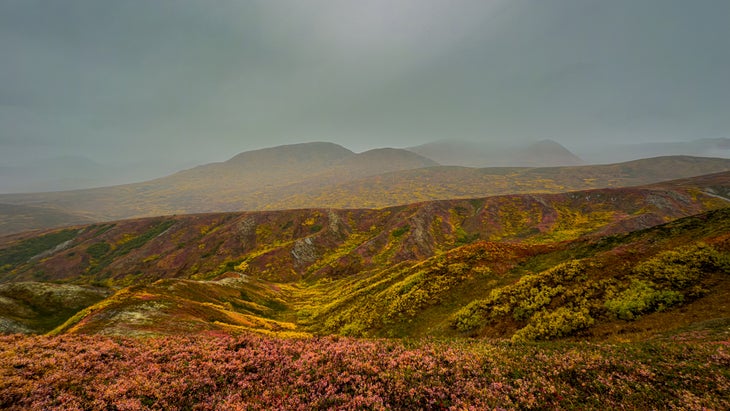 An Alaskan landscape captured by the new Apple iPhone 16 Pro