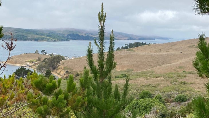 A panorama view of Tomales Bay and, across the water, Point Reyes National Seashore, California.