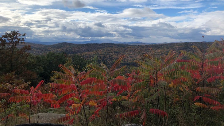 Windmill Ridge just outside of Newfane, VT