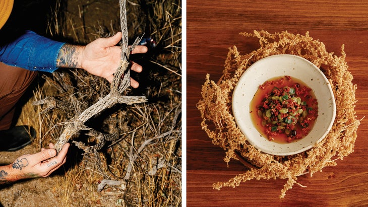 Cholla cactus, used to decorate the restaurant; a dish of smoked paloverde beans with amaranth