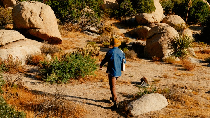 The desert is often a punishing place to harvest from. “It can feel like you’re foraging on the sun,” said Lopez.