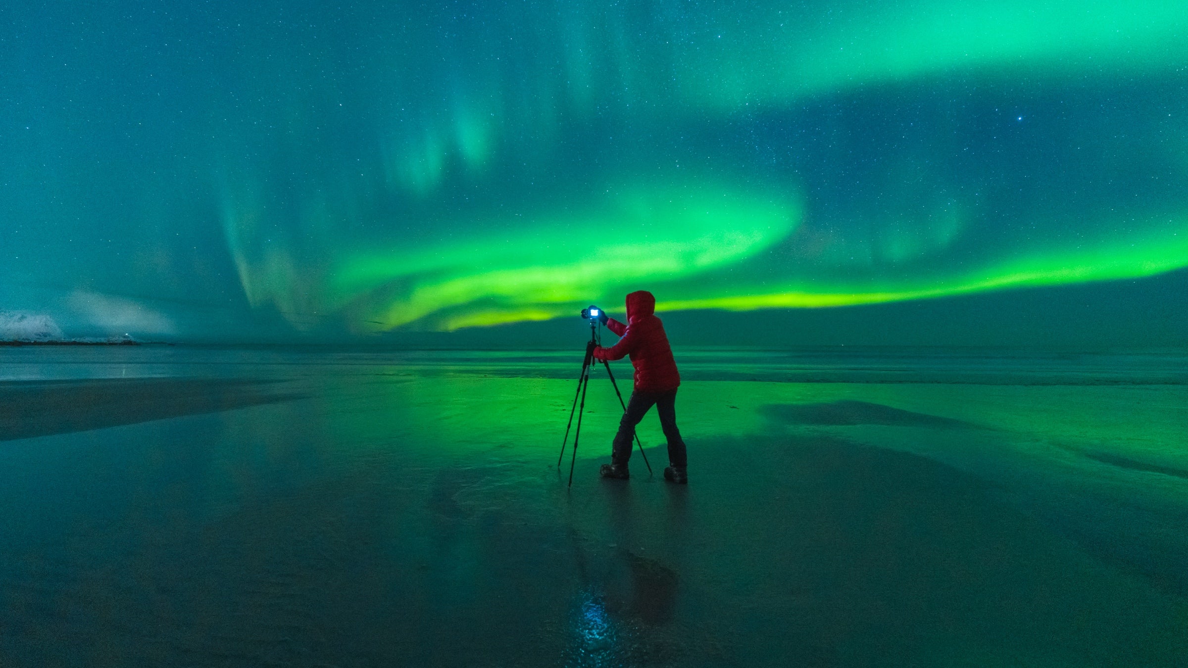 A man looks at the camera set up on his tripod as the green northern lights swirl on an Arctic horizon.