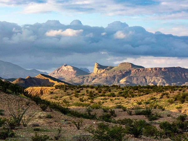Big Bend National Park