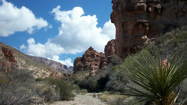 Big Bend National Park, Texas