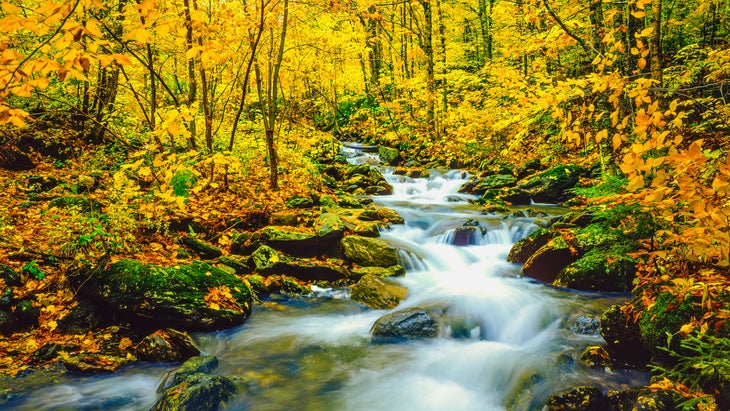 underhill state park in vermont browns creek with autumn colors