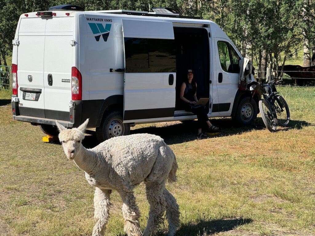 A white Ram Promaster Van with a wayfarer build parked in a field alongside a llama