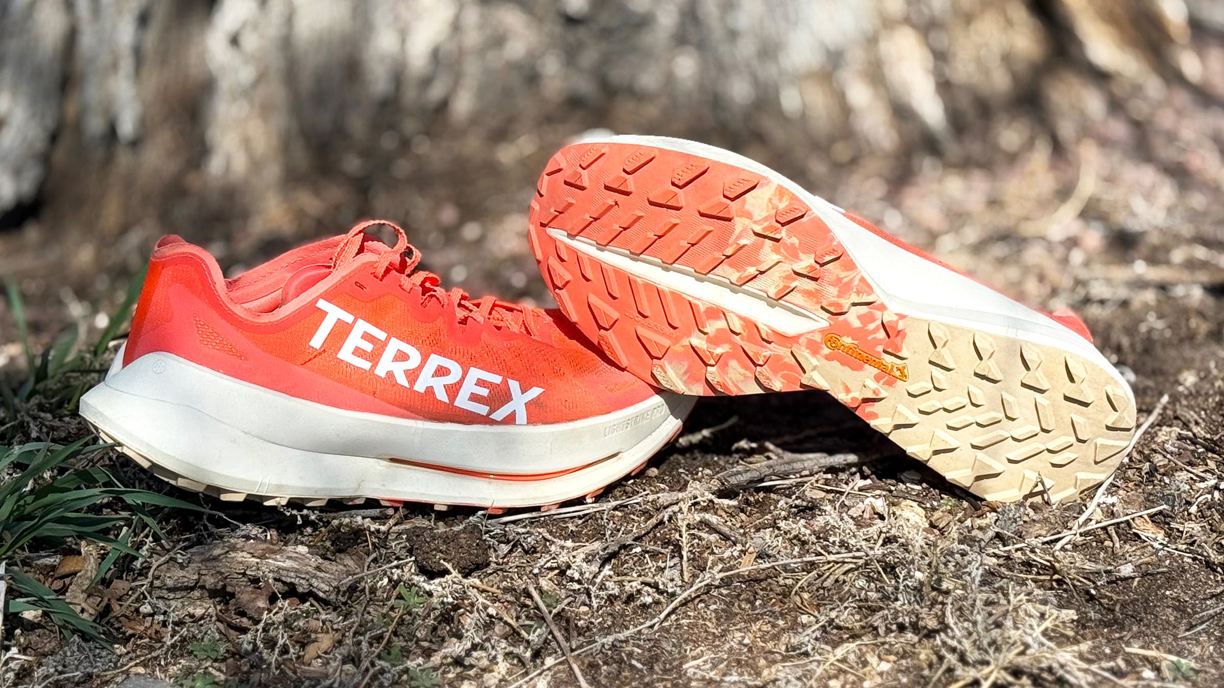 Red Adidas Terrex Agravic Speed Ultra trail running shoes in a natural forest setting