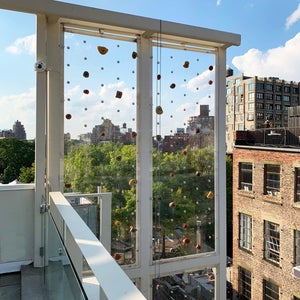 The translucent upper section of the climbing wall at 16 Minetta
