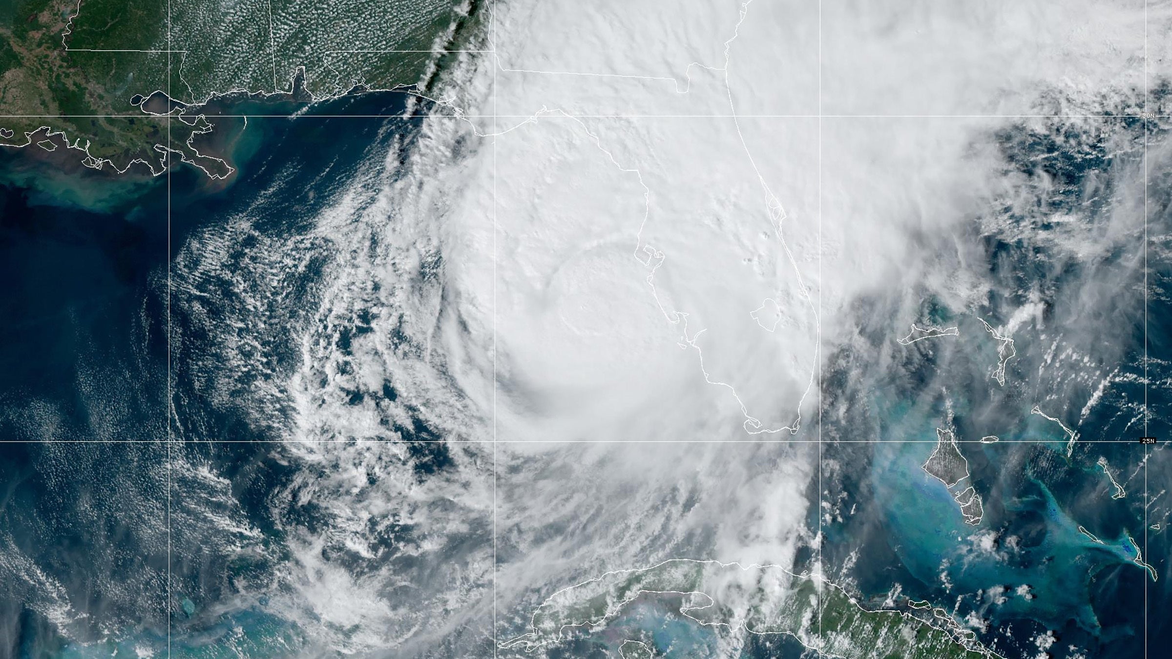 survival depends on community