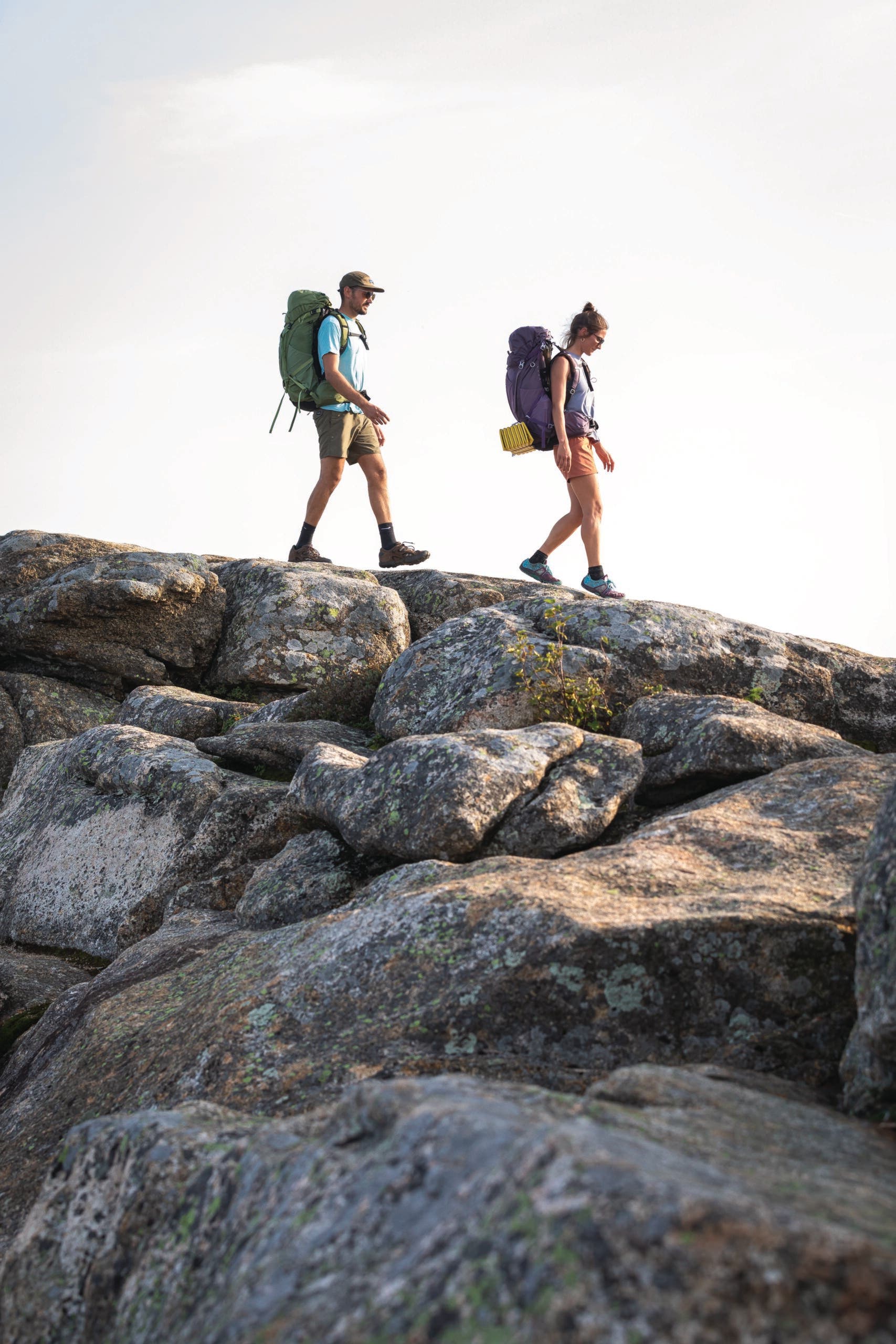 Atmos AG LT 50 and Aura AG LT 50