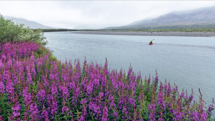 Noatak Headwaters