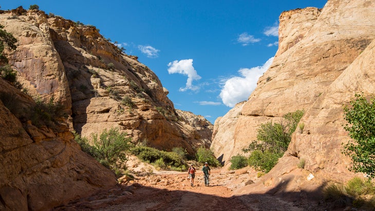 two hikers in Capitol Reef National Park