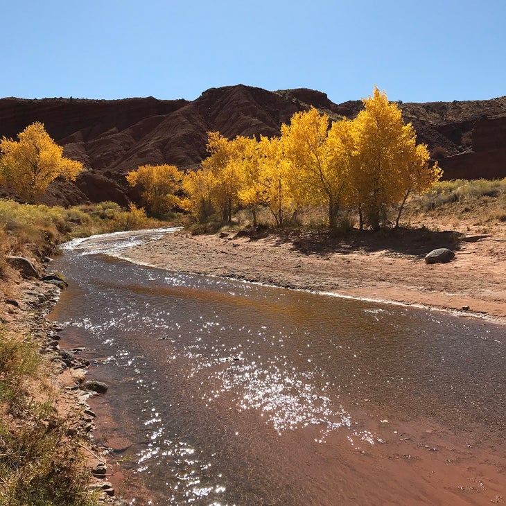 Sulphur Creek, Capitol Reef