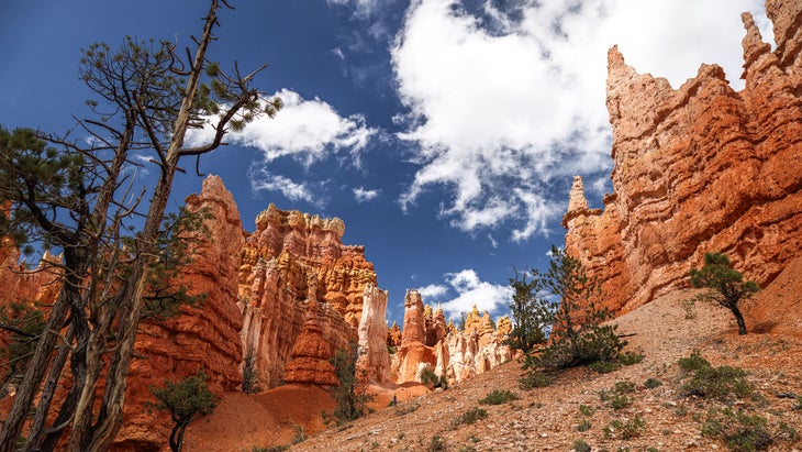 Queen's Garden Trail, Bryce National Park