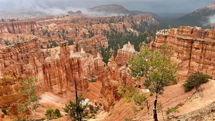 towers at Bryce Canyon National Park