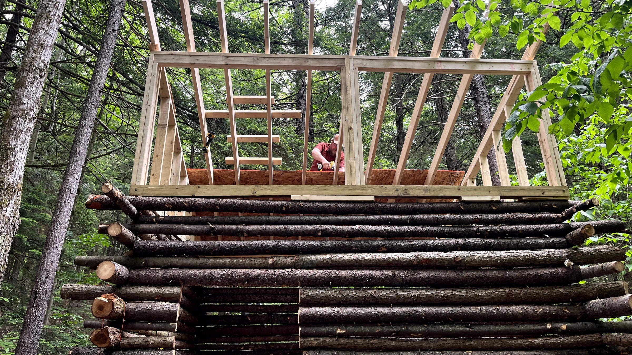 Josh Drinkard seen working on the roof rafters of the structure, with the forest canopy above in the spaces between beams.