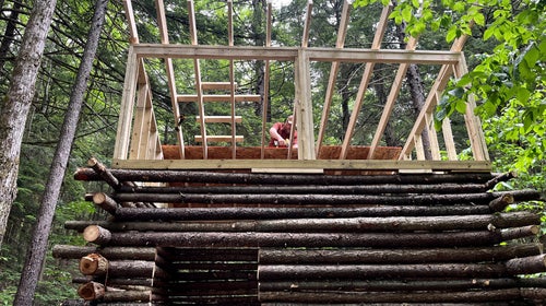 Josh Drinkard seen working on the roof rafters of the structure, with the forest canopy above in the spaces between beams.