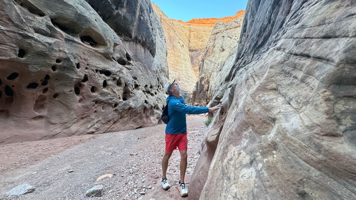 The author geeks out at the captivating cliff faces along the Grand Wash Trail, inside Capitol Reef