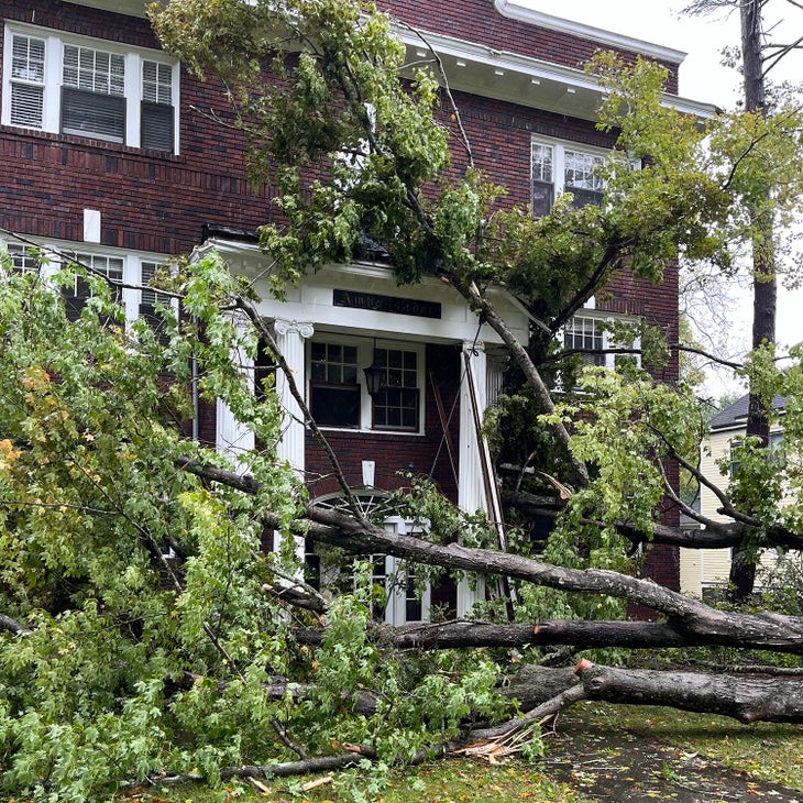 large trees have hit a house in Asheville