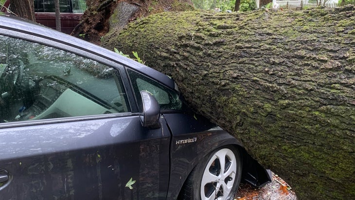 tree on top of car in Asheville after Hurricane Helene