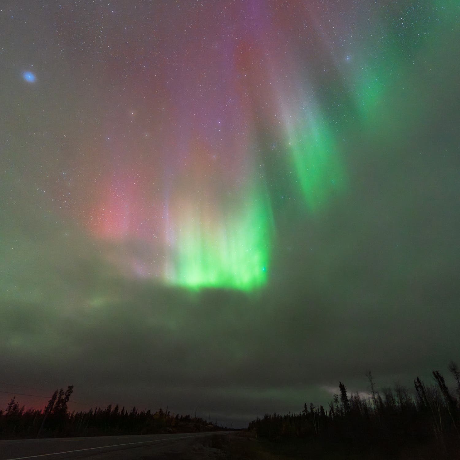 A burst of radiant auroras burst through the clouds above the boreal forest outside Yellowknife, in the Northern Territories.