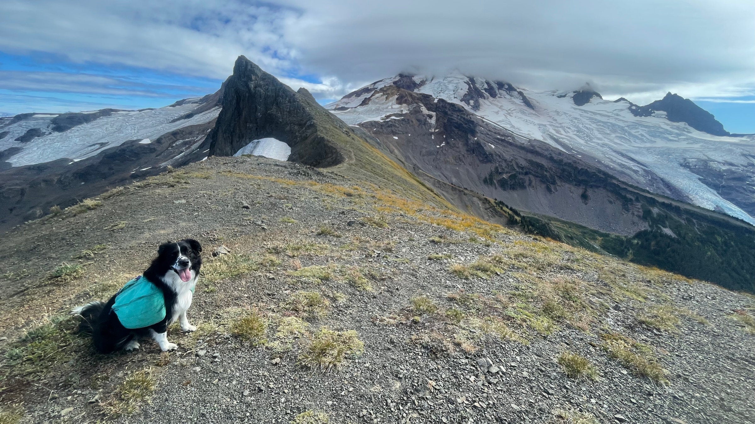 A dog sits on a ridge with mountains behind