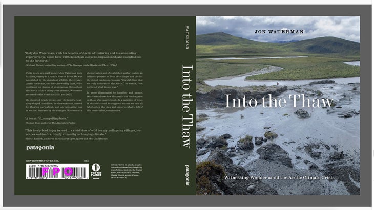 Into the Thaw book jacket