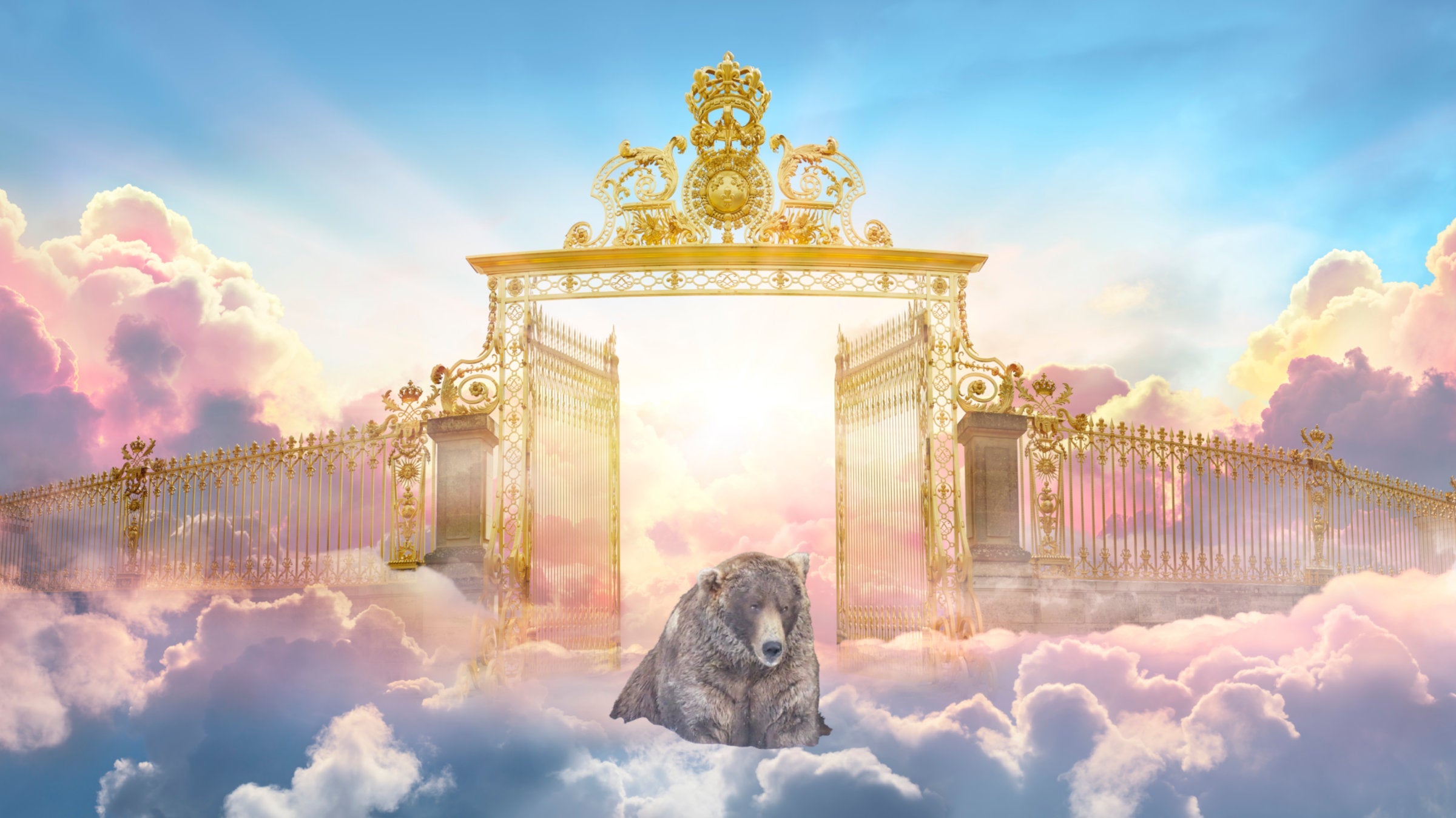 gates of heaven with bear in front