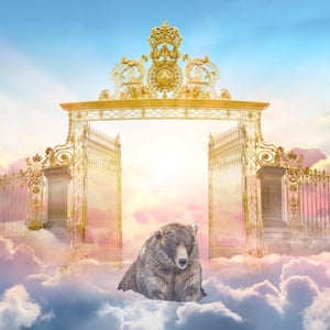 gates of heaven with bear in front