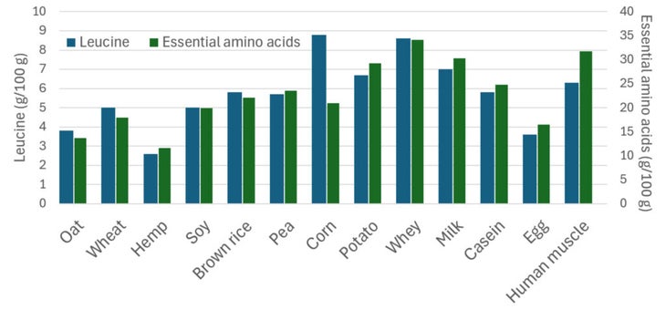 The Protein Laws Athletes Will have to Observe (or Forget about)