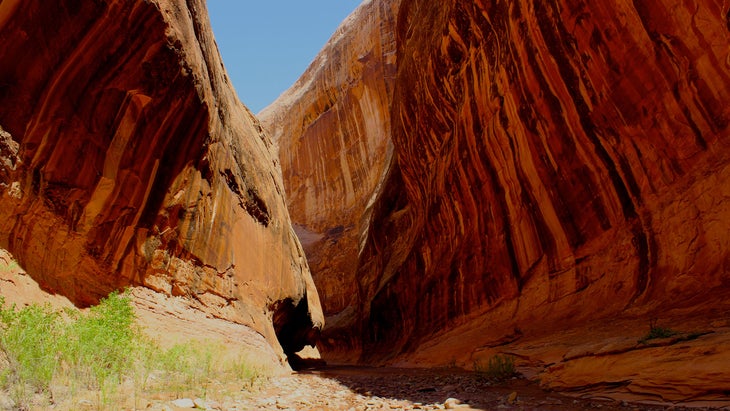 slot canyon in Capitol Reef National Park, Utah