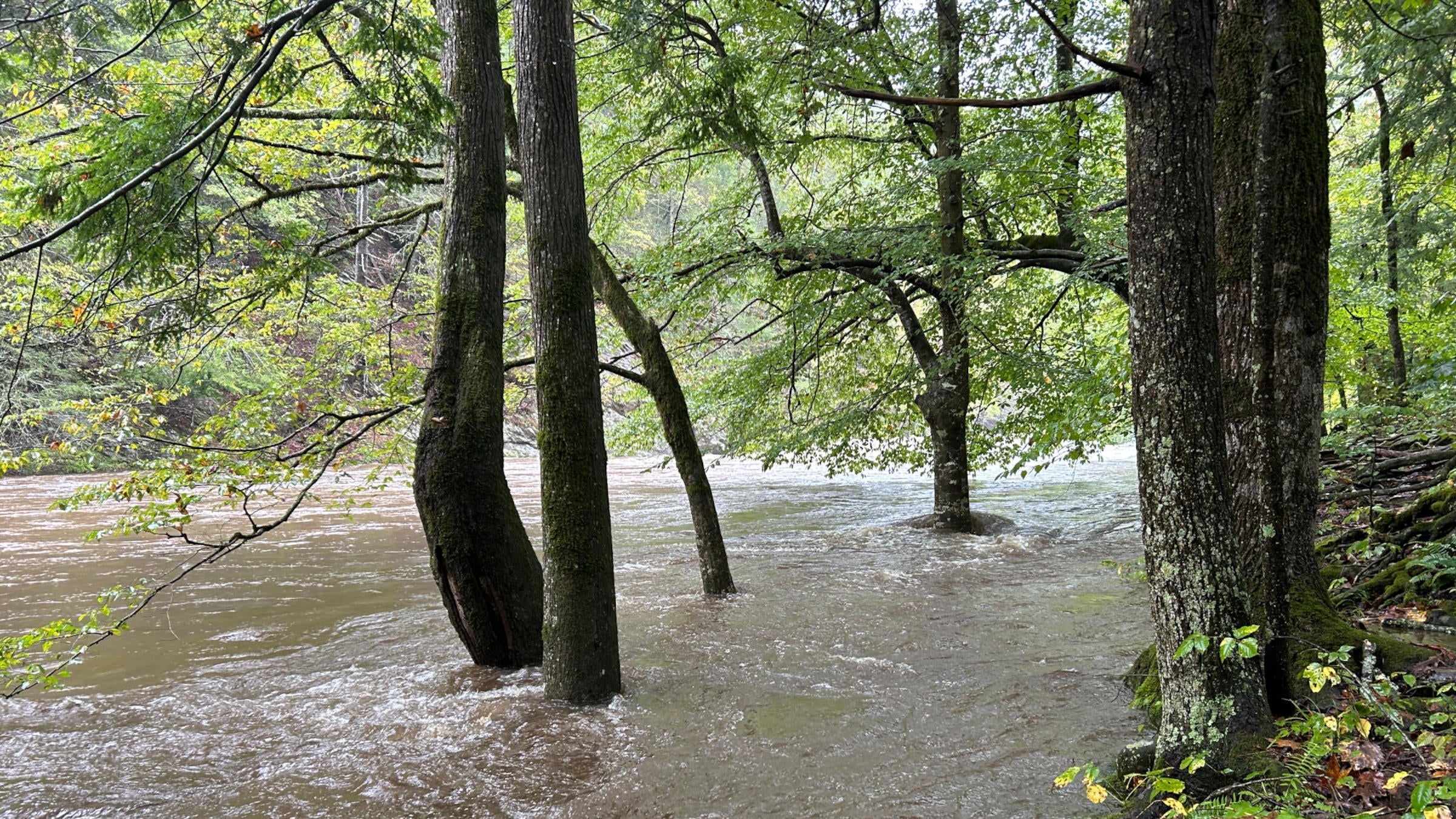 Townsend Wye hurricane helene appalachian trail