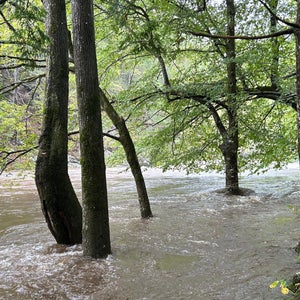 Townsend Wye hurricane helene appalachian trail