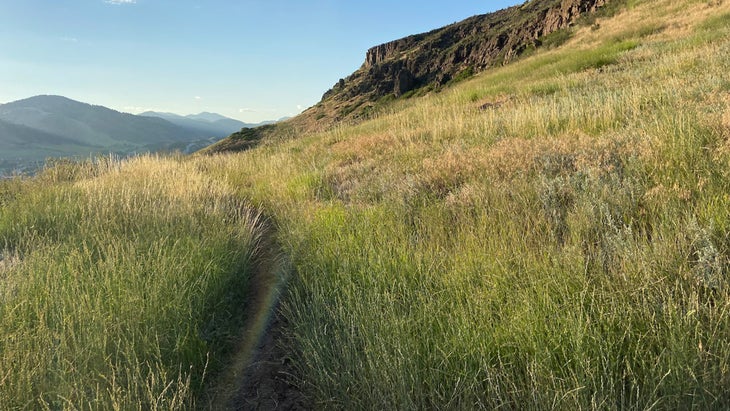 trail outside of Denver