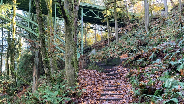 Ravenna Park, Seattle