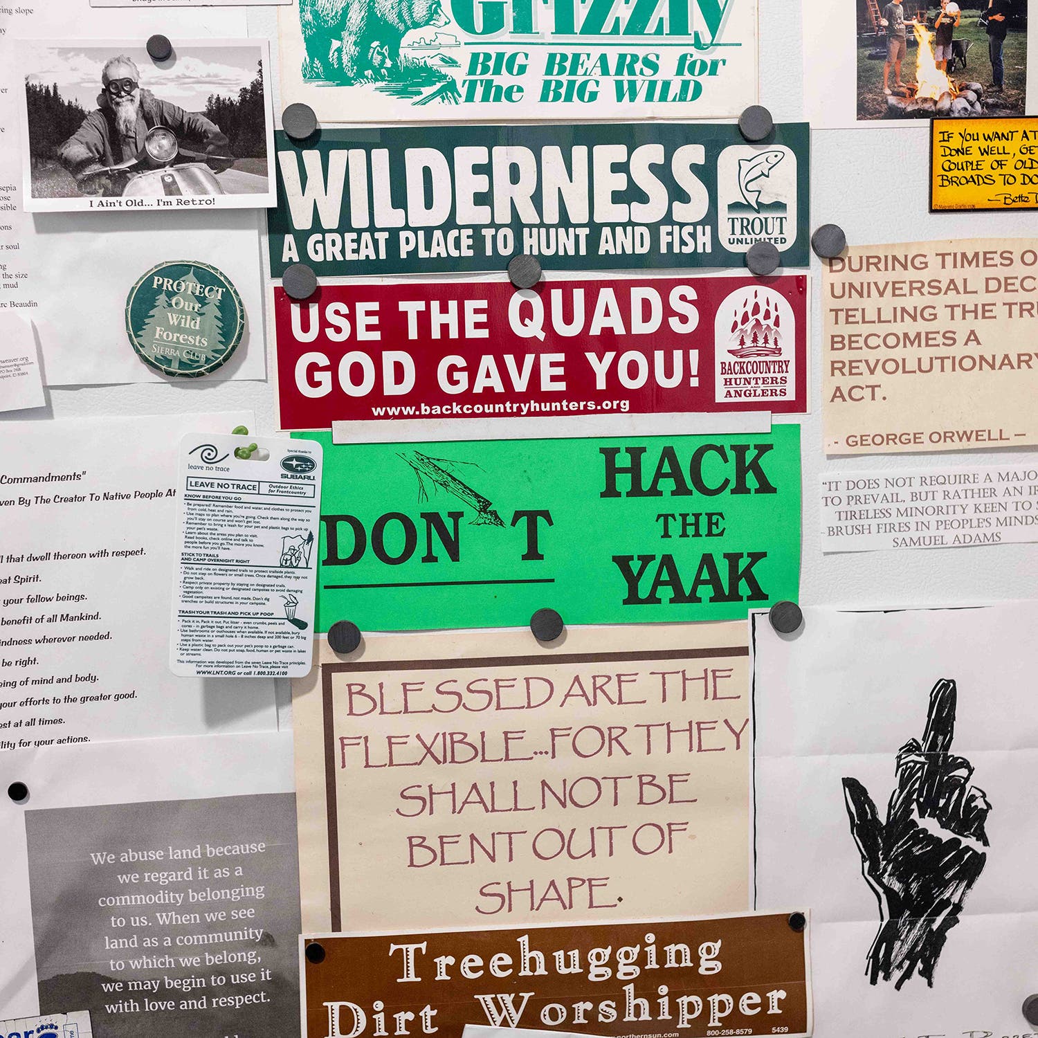 More scenes from the Yaak Valley Forest Council office