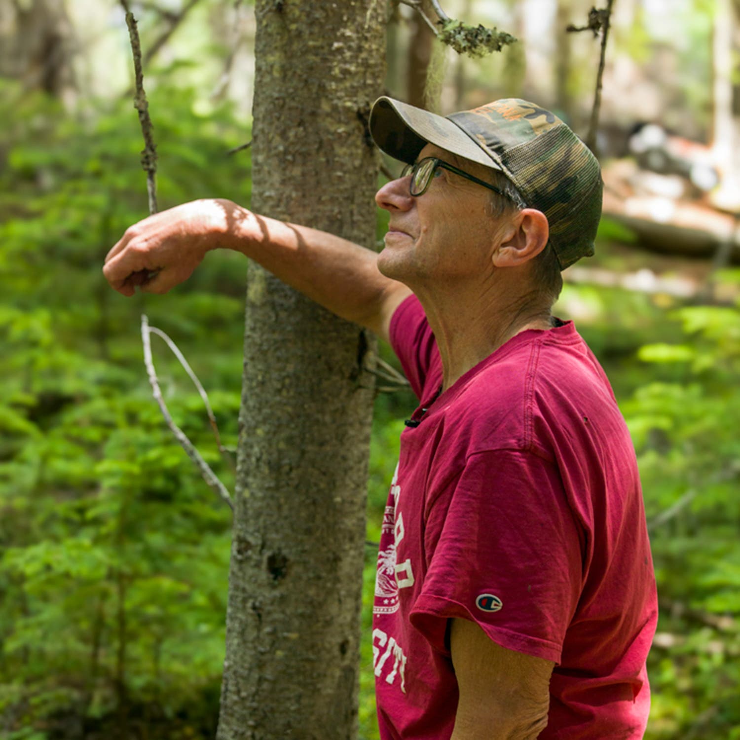 Rick Bass, director of the Yaak Valley Forest Council