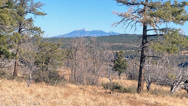 dispersed camping near sedona