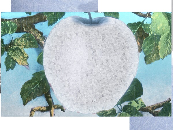 An abstract collage of a frozen grey-colored apple on top of a leaf an ice cube background.
