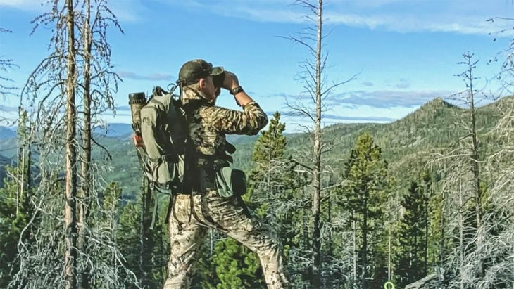 The author using his Swarovski binoculars on a hunting trip. He looks across a stand of dead trees on a ridgeline.