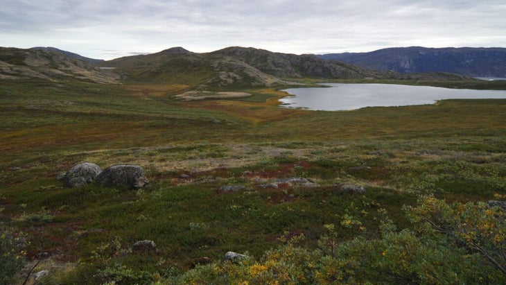 A lake and rolling hills with low grasses and shrubs in Greenland