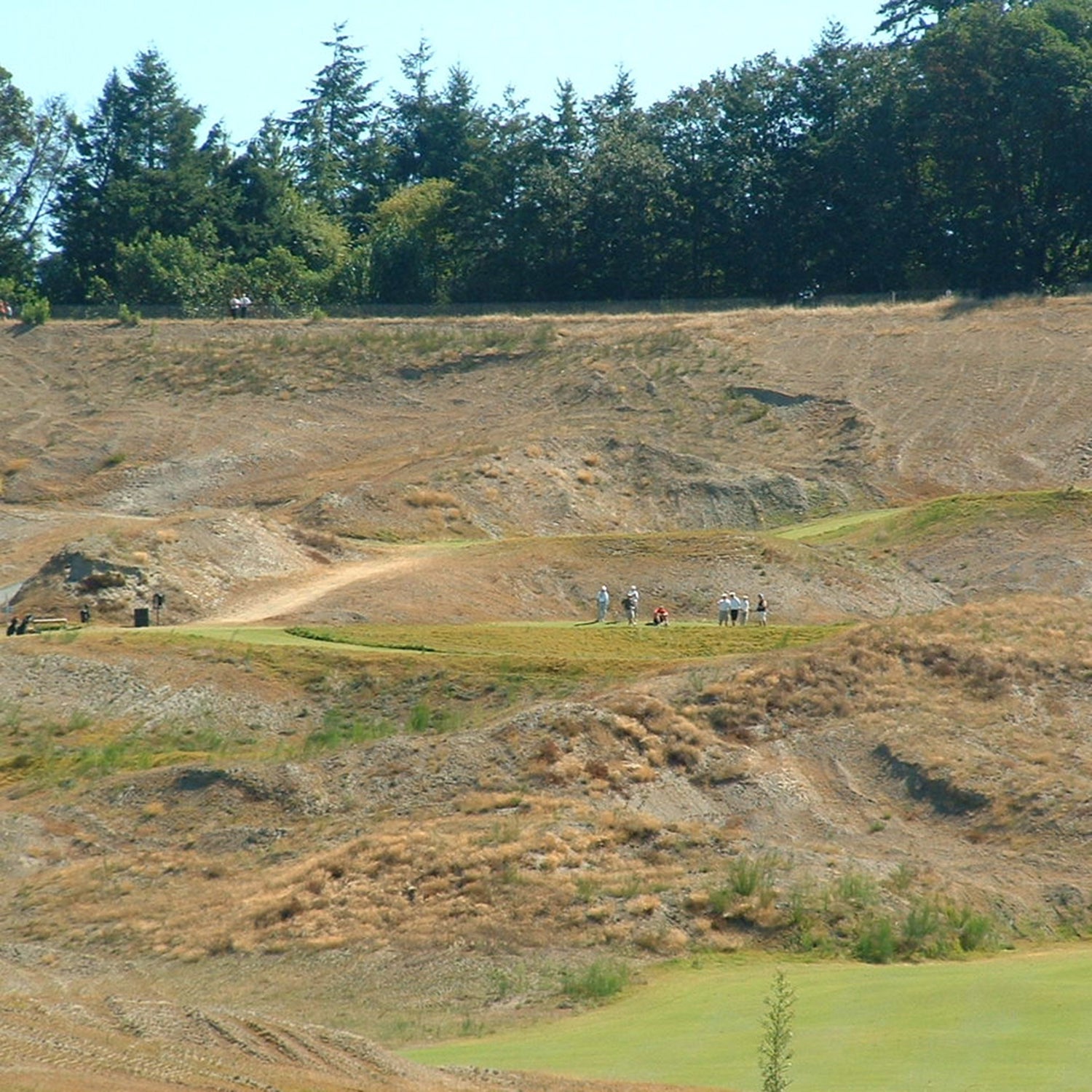 Chambers Bay golf