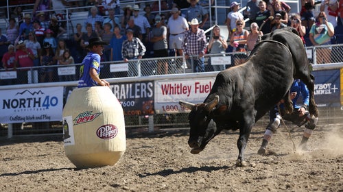 JJ Harrison, rodeo clown, with a bull at an event