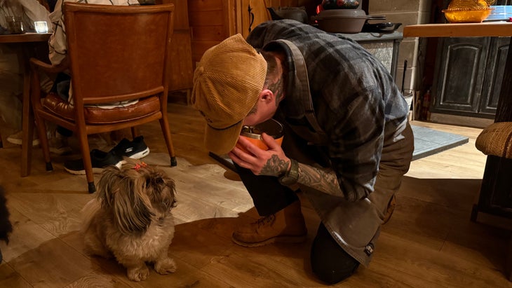 a person with tattoos bends over a dog bowl, while a Shih Tzu watches