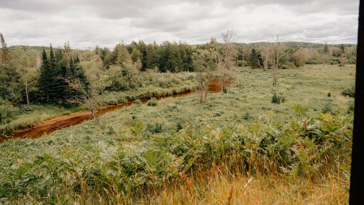 beautiful field by a small river under a cloudy sky