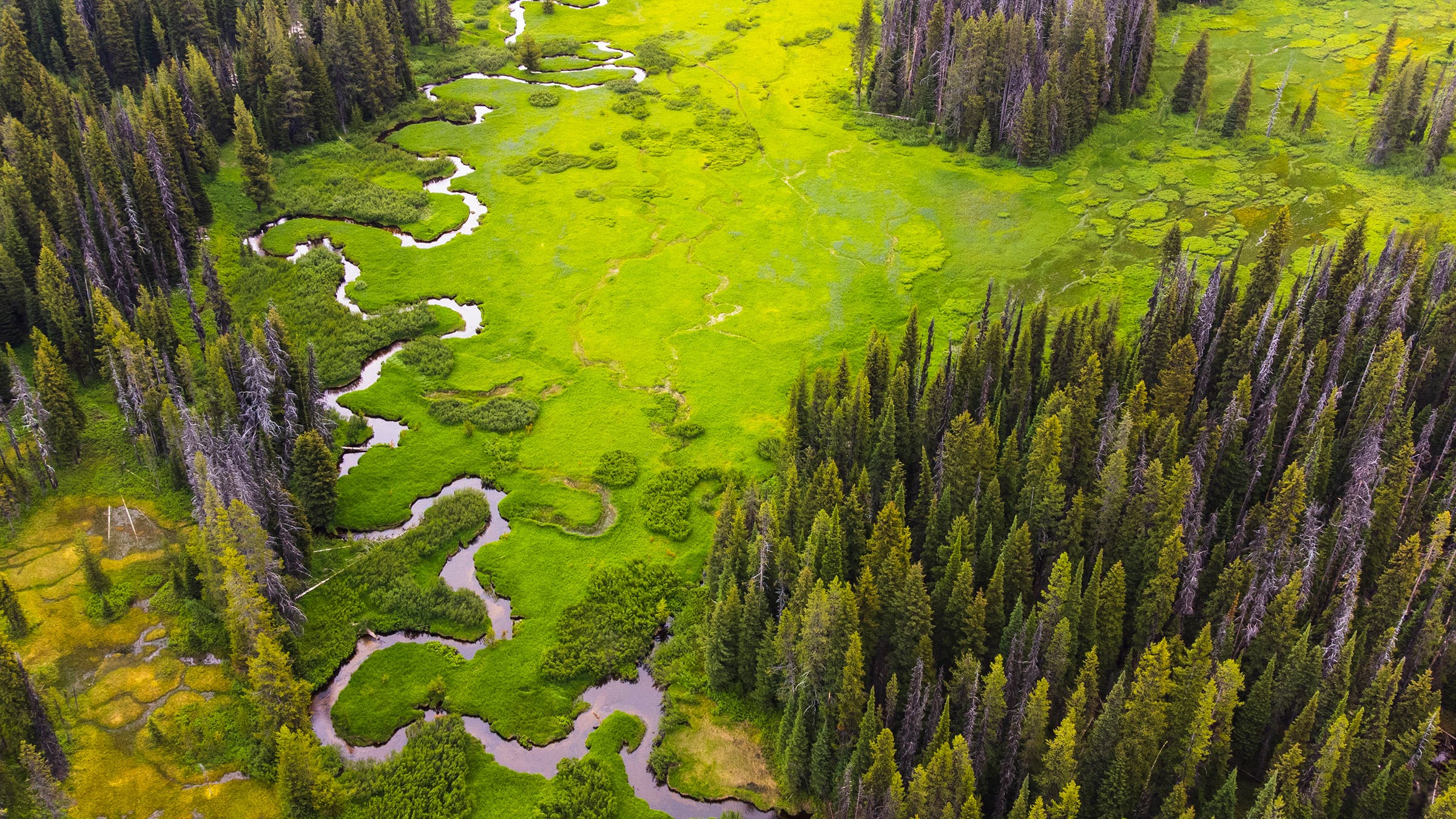 A winding section of the Madison