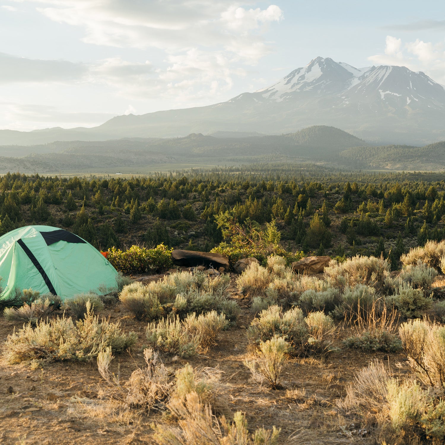 Hipcamp campsite