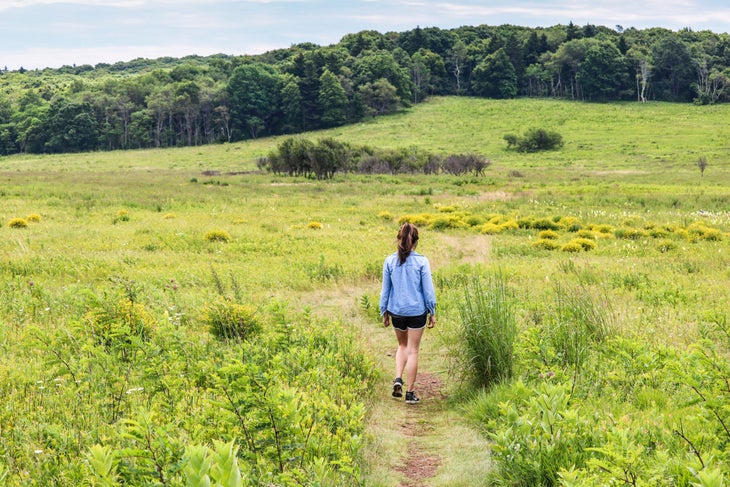 woman hiker enters Big Meadows, Shenandoah National Park