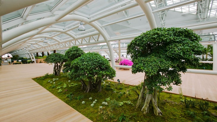 Indoor Garden at Incheon International Airport